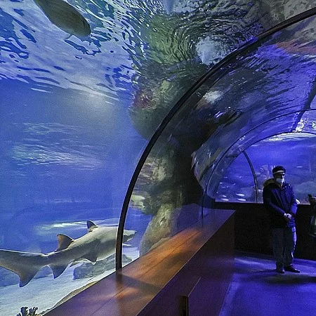 Ankara NataVega Akvaryum