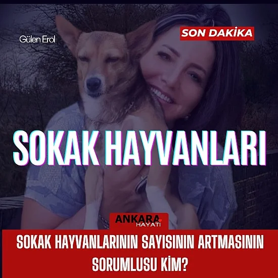 Sokak Hayvanlarının Sayısının Artmasının Sorumlusu Kim? Sokak Hayvanlarının Sayısının Artmasının Sorumlusu Kim?