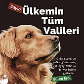 Hayvan Severler Ayakta: Türkiye'de Yeni Yasa Tasarısı Üzerine Tepkiler Büyüyor Hayvan Severler Ayakta: Türkiye'de Yeni Yasa Tasarısı Üzerine Tepkiler Büyüyor
