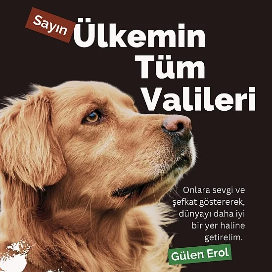 Hayvan Severler Ayakta: Türkiye'de Yeni Yasa Tasarısı Üzerine Tepkiler Büyüyor Hayvan Severler Ayakta: Türkiye'de Yeni Yasa Tasarısı Üzerine Tepkiler Büyüyor