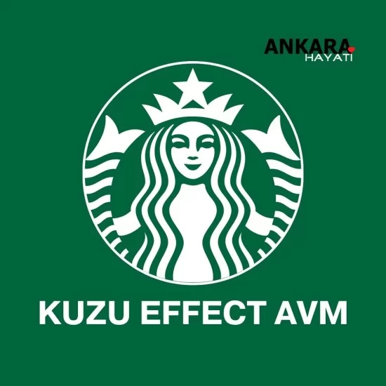 Starbucks Kuzu Effect Avm Starbucks Kuzu Effect Avm
