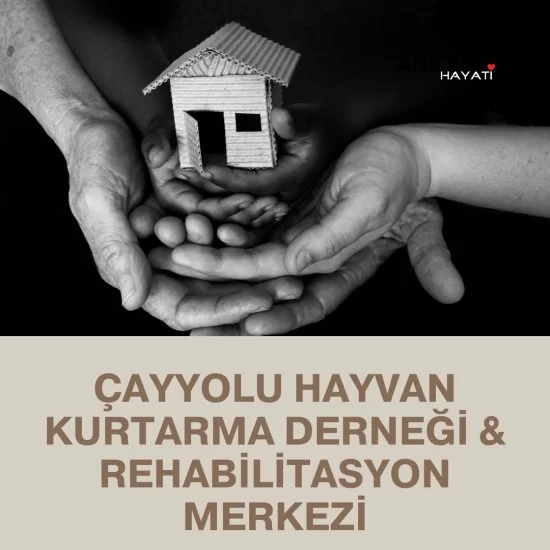 Çayyolu Hayvan Kurtarma Derneği & Rehabilitasyon Merkezi Çayyolu Hayvan Kurtarma Derneği & Rehabilitasyon Merkezi