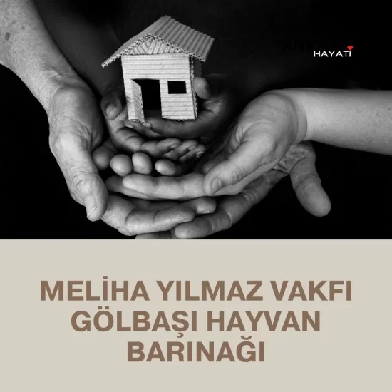 Meliha Yılmaz Vakfı Gölbaşı Hayvan Barınağı Meliha Yılmaz Vakfı Gölbaşı Hayvan Barınağı