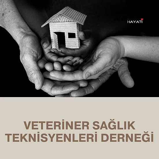Veteriner Sağlık Teknisyenleri Derneği Veteriner Sağlık Teknisyenleri Derneği