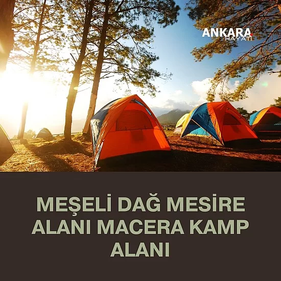 Meşeli Dağ Mesire Alanı Macera Kamp Alanı Meşeli Dağ Mesire Alanı Macera Kamp Alanı