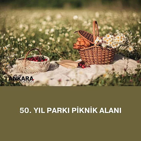 50. Yıl Parkı Piknik Alanı 50. Yıl Parkı Piknik Alanı
