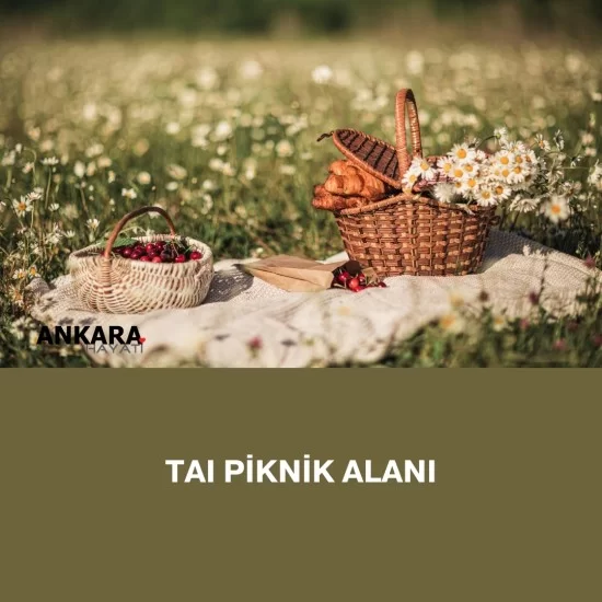 Taı Piknik Alanı Taı Piknik Alanı