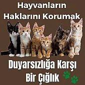 Hayvanların Haklarını Korumak: Duyarsızlığa Karşı Bir Çığlık Hayvanların Haklarını Korumak: Duyarsızlığa Karşı Bir Çığlık