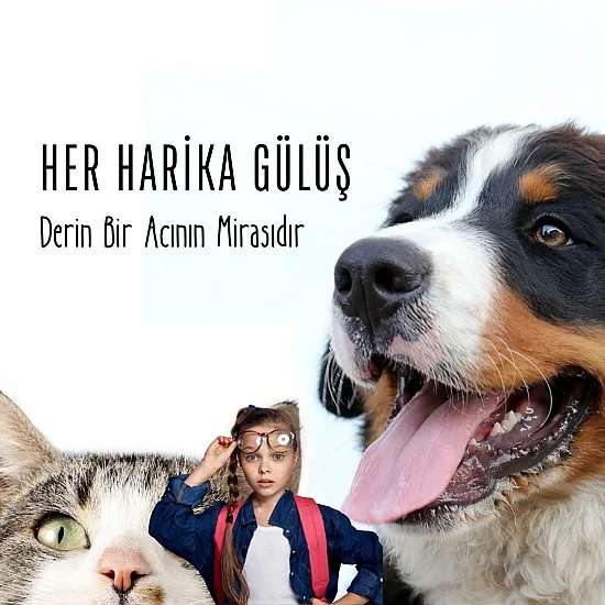 Her Harika Gülüş Derin Bir Acının Mirasıdır