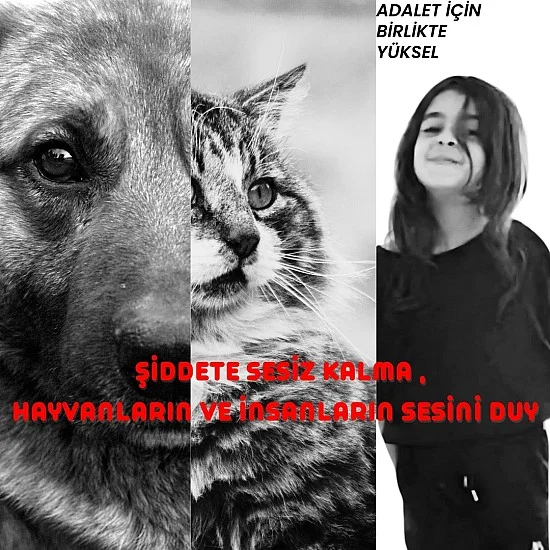Narin'in Sesi: Umut ve Adaletin Hikayesi Narin'in Sesi: Umut ve Adaletin Hikayesi