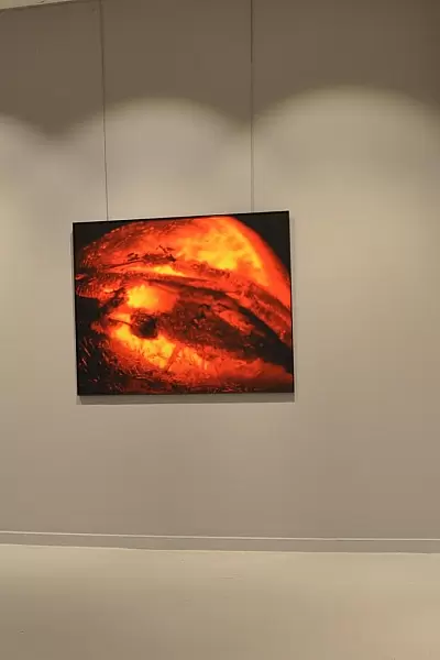 Fotograf Pratikleri Fotograf Sergisi AFSAD