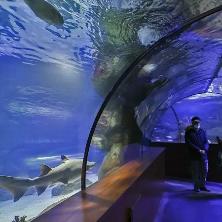 Ankara NataVega Akvaryum