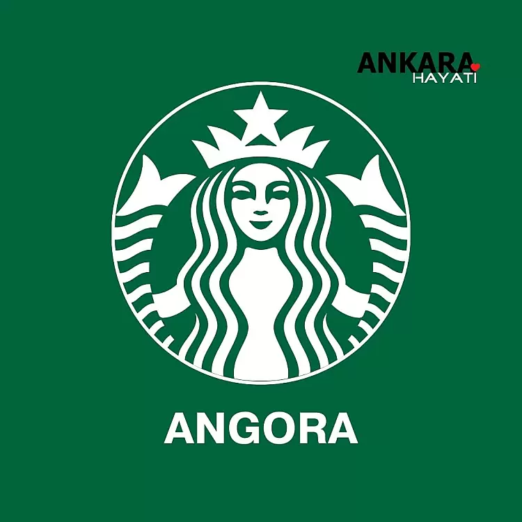 Starbucks Angora