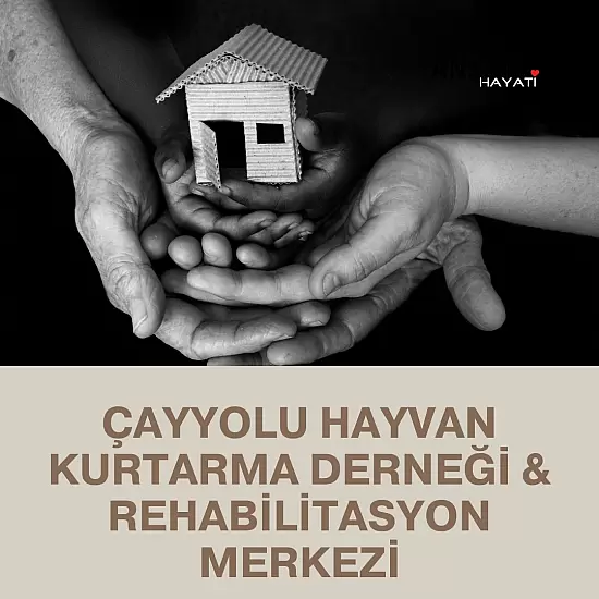 Çayyolu Hayvan Kurtarma Derneği & Rehabilitasyon Merkezi 