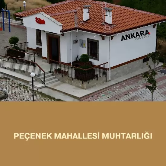 Peçenek Mahallesi Muhtarlığı