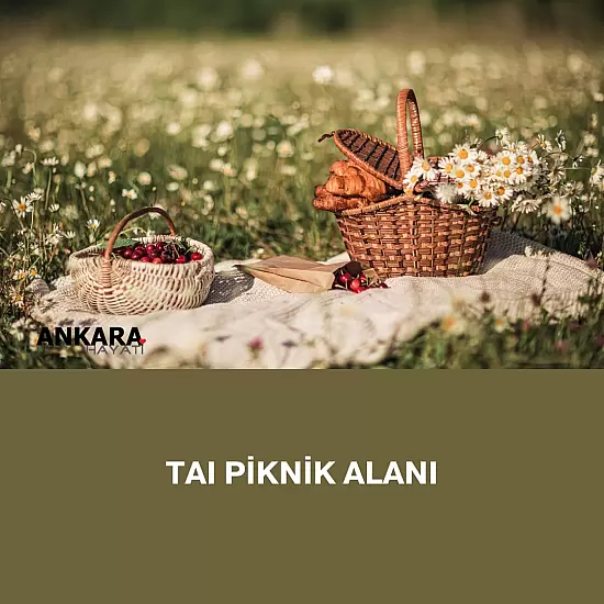 Taı Piknik Alanı