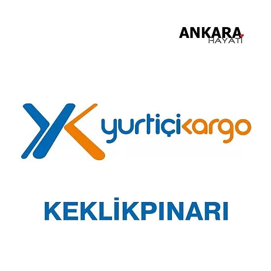 Yurtiçi Kargo Keklikpınarı 