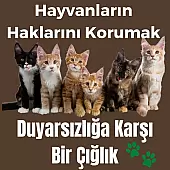 Hayvanların Haklarını Korumak: Duyarsızlığa Karşı Bir Çığlık