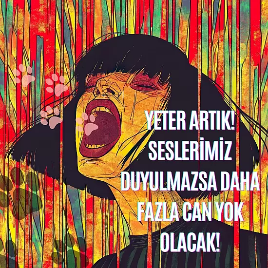 Yeter Artık! Seslerimiz Duyulmazsa Daha Fazla Can Yok Olacak!