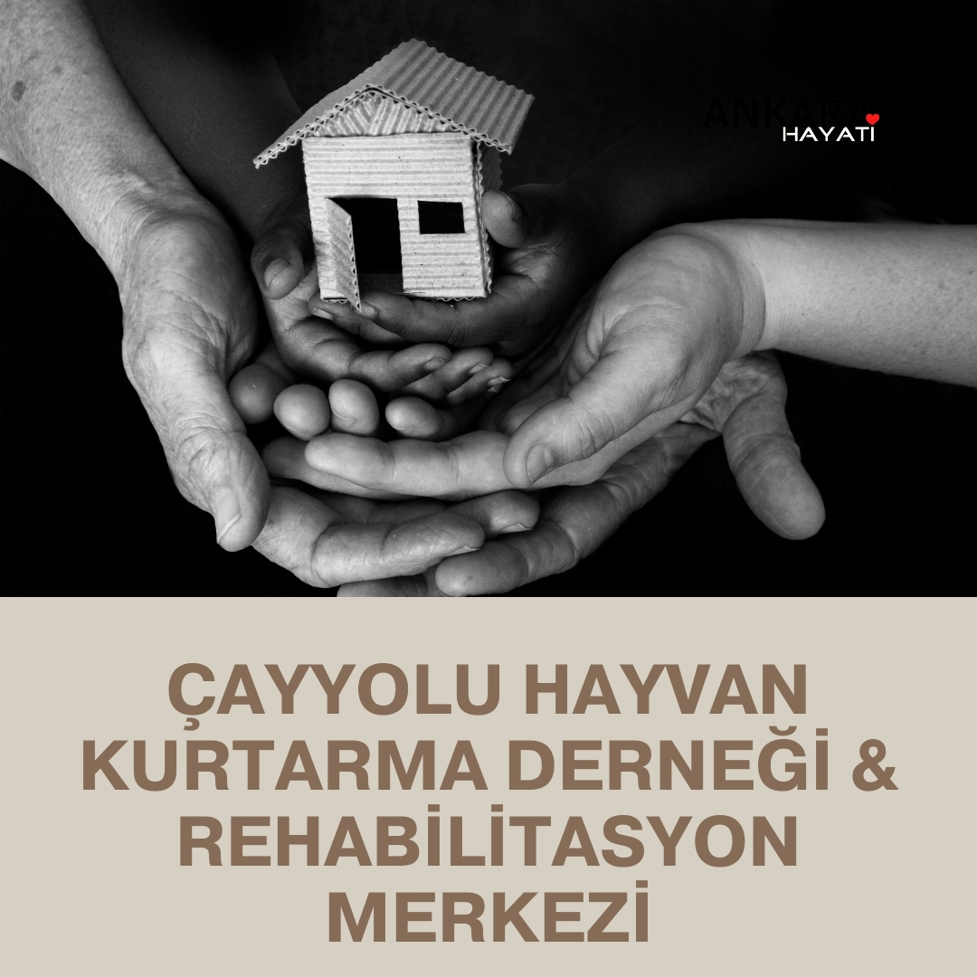 Çayyolu Hayvan Kurtarma Derneği & Rehabilitasyon Merkezi