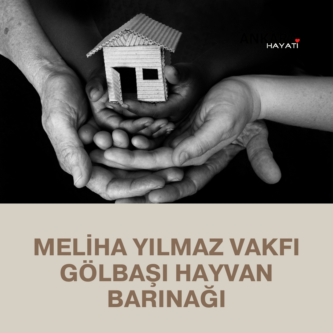 Meliha Yılmaz Vakfı Gölbaşı Hayvan Barınağı