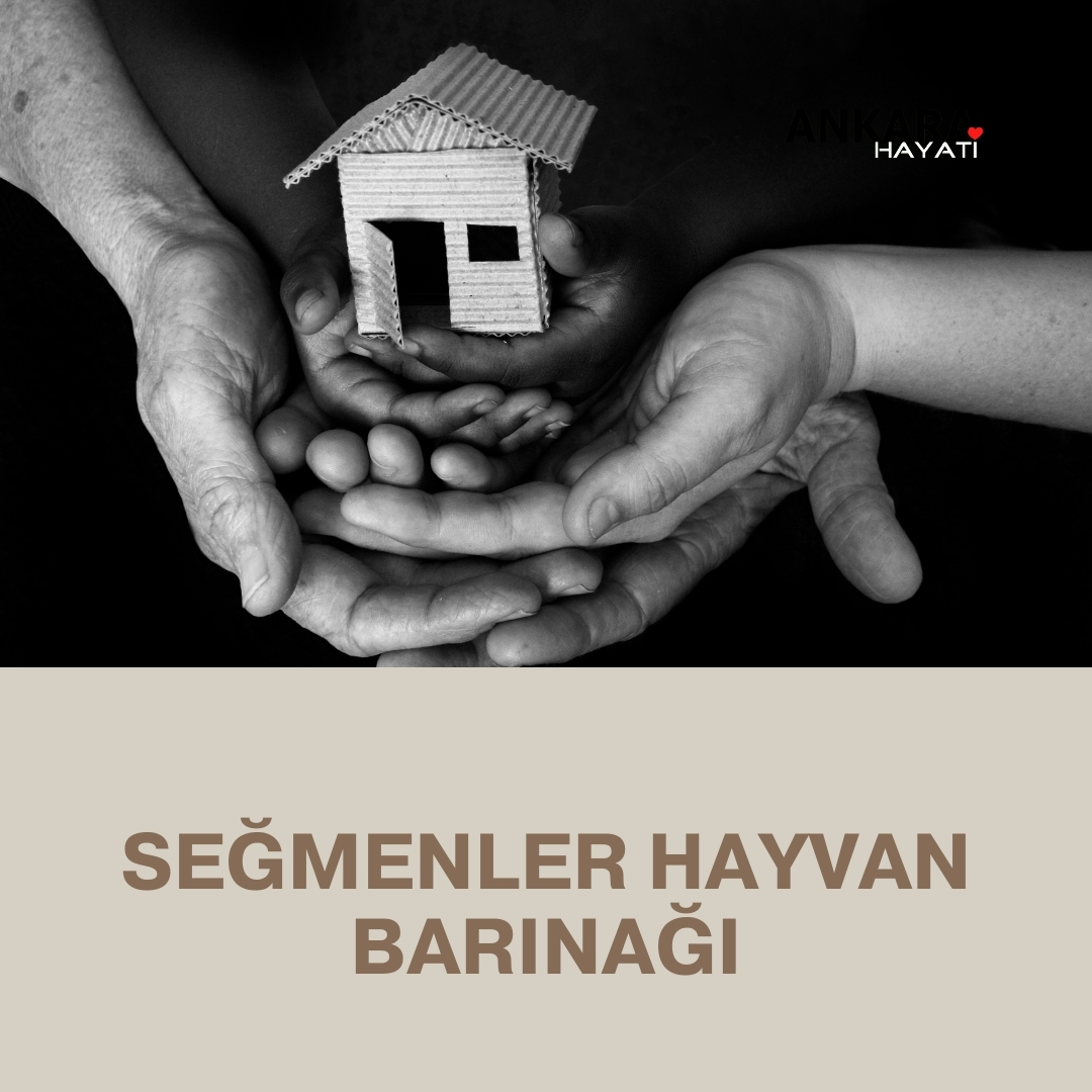 Seğmenler Hayvan Barınağı