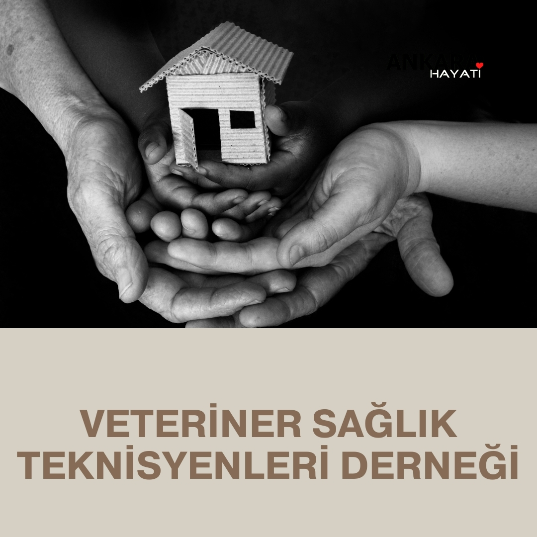 Veteriner Sağlık Teknisyenleri Derneği