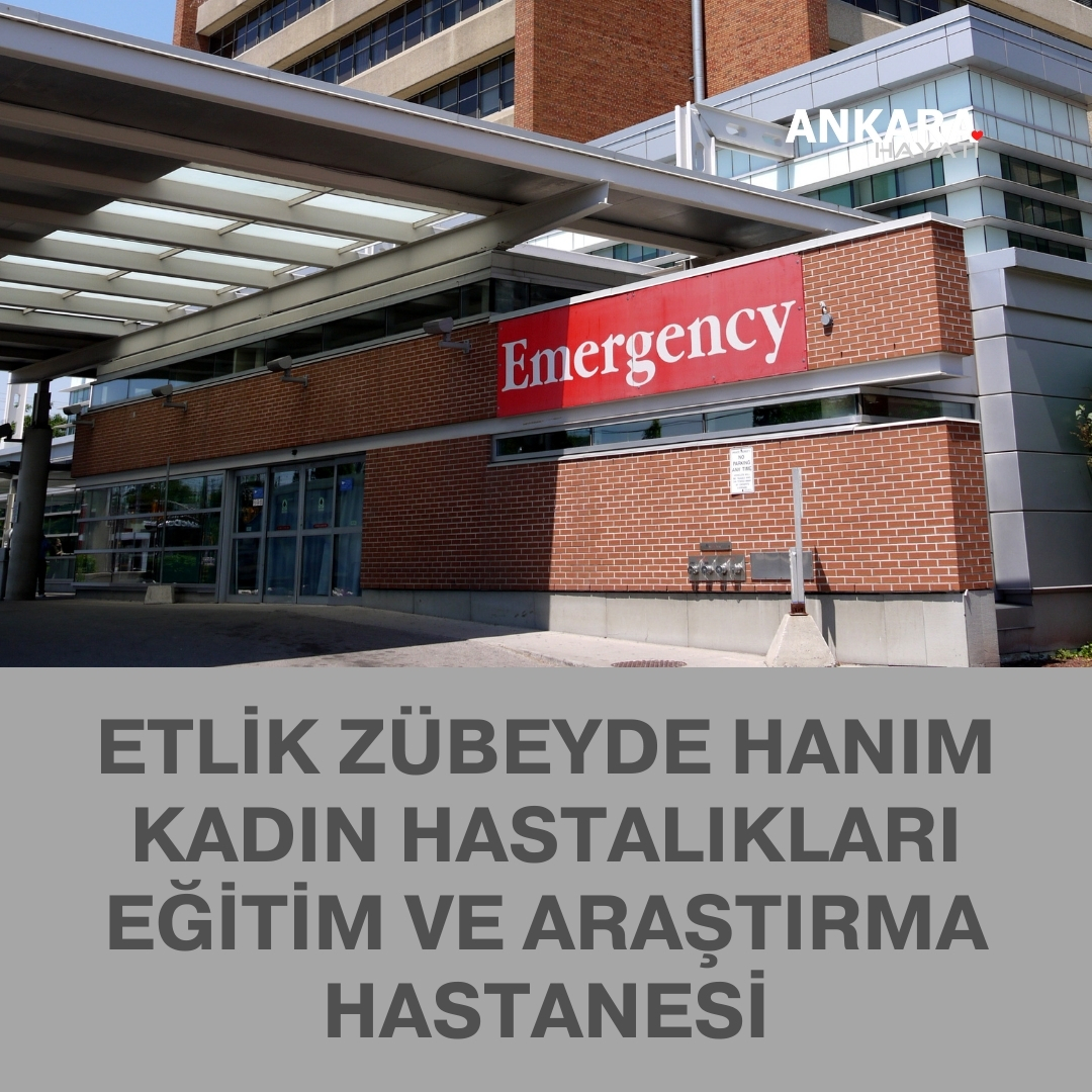 Etlik Zübeyde Hanım Kadın Hastalıkları Eğitim Ve Araştırma Hastanesi Etlik Zübeyde Hanım Kadın Hastalıkları Eğitim Ve Araştırma Hastanesi