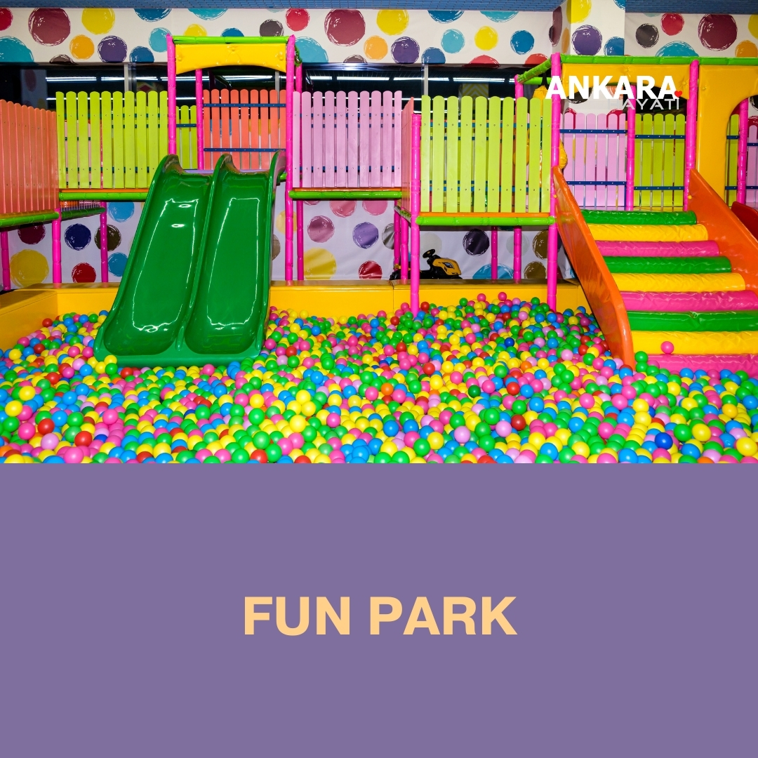 Fun Park