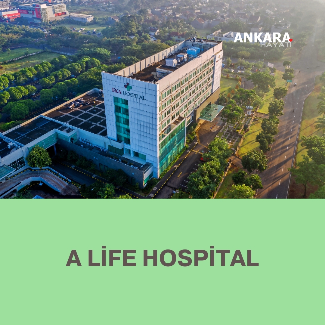 A Life Hospital