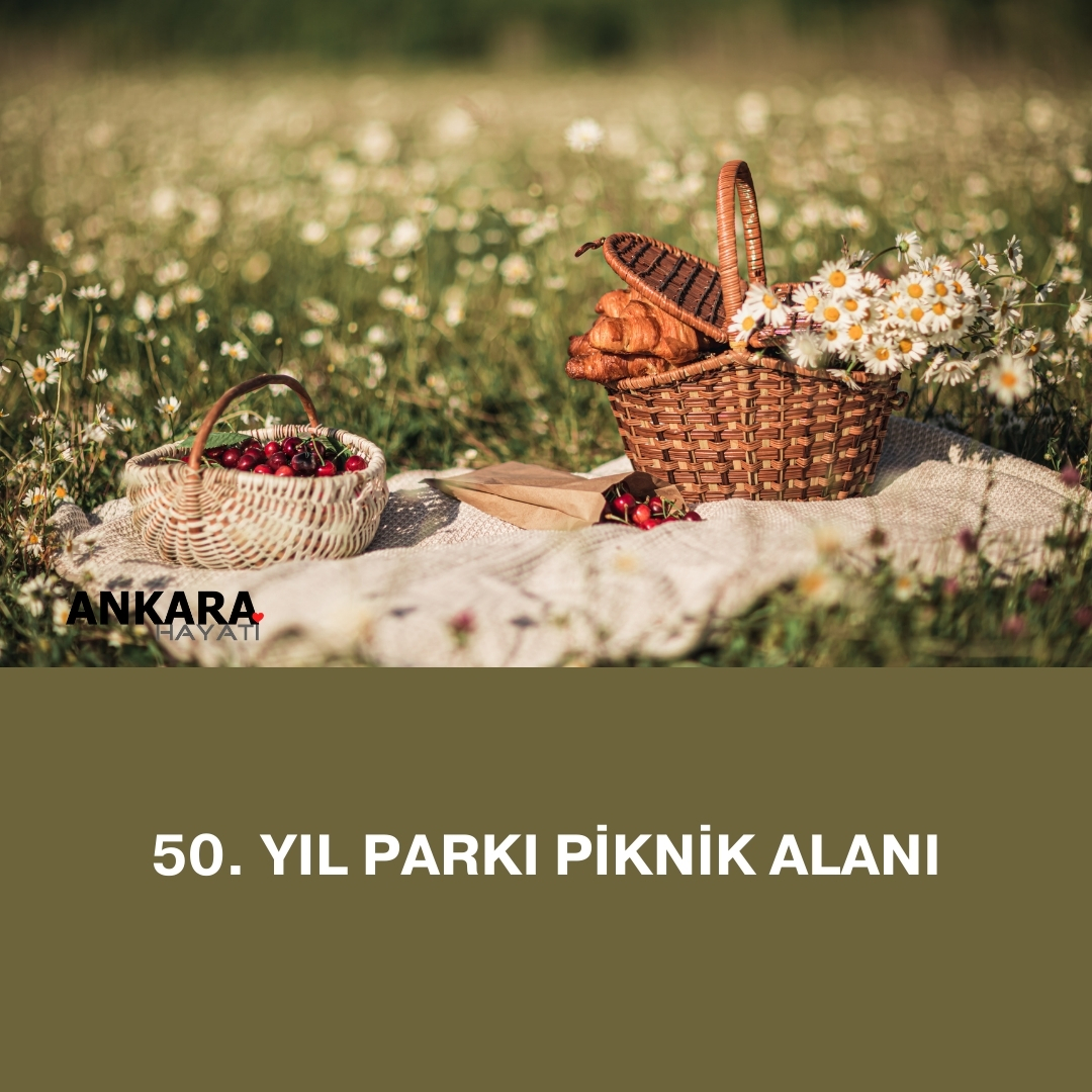 50. Yıl Parkı Piknik Alanı