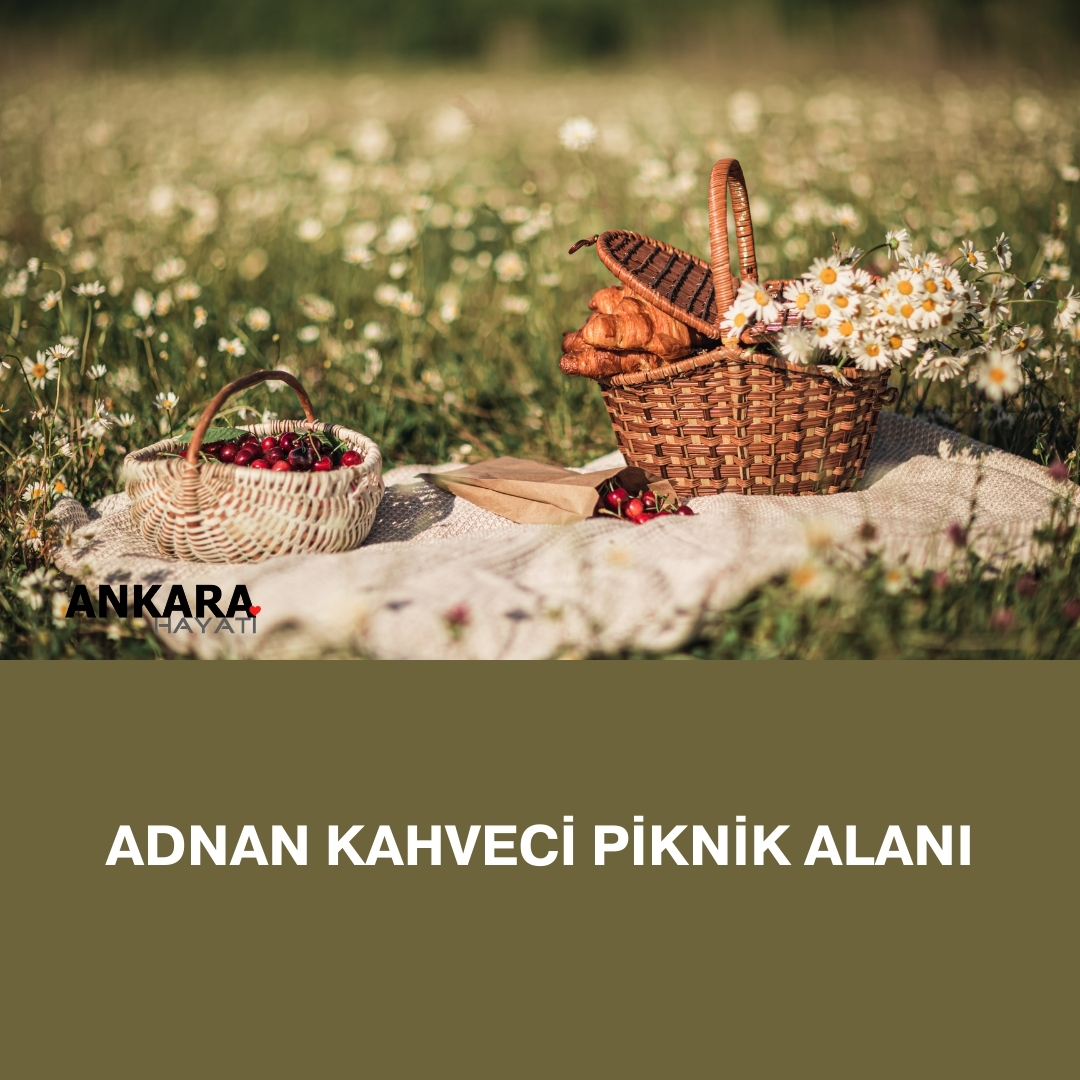 Adnan Kahveci Piknik Alanı
