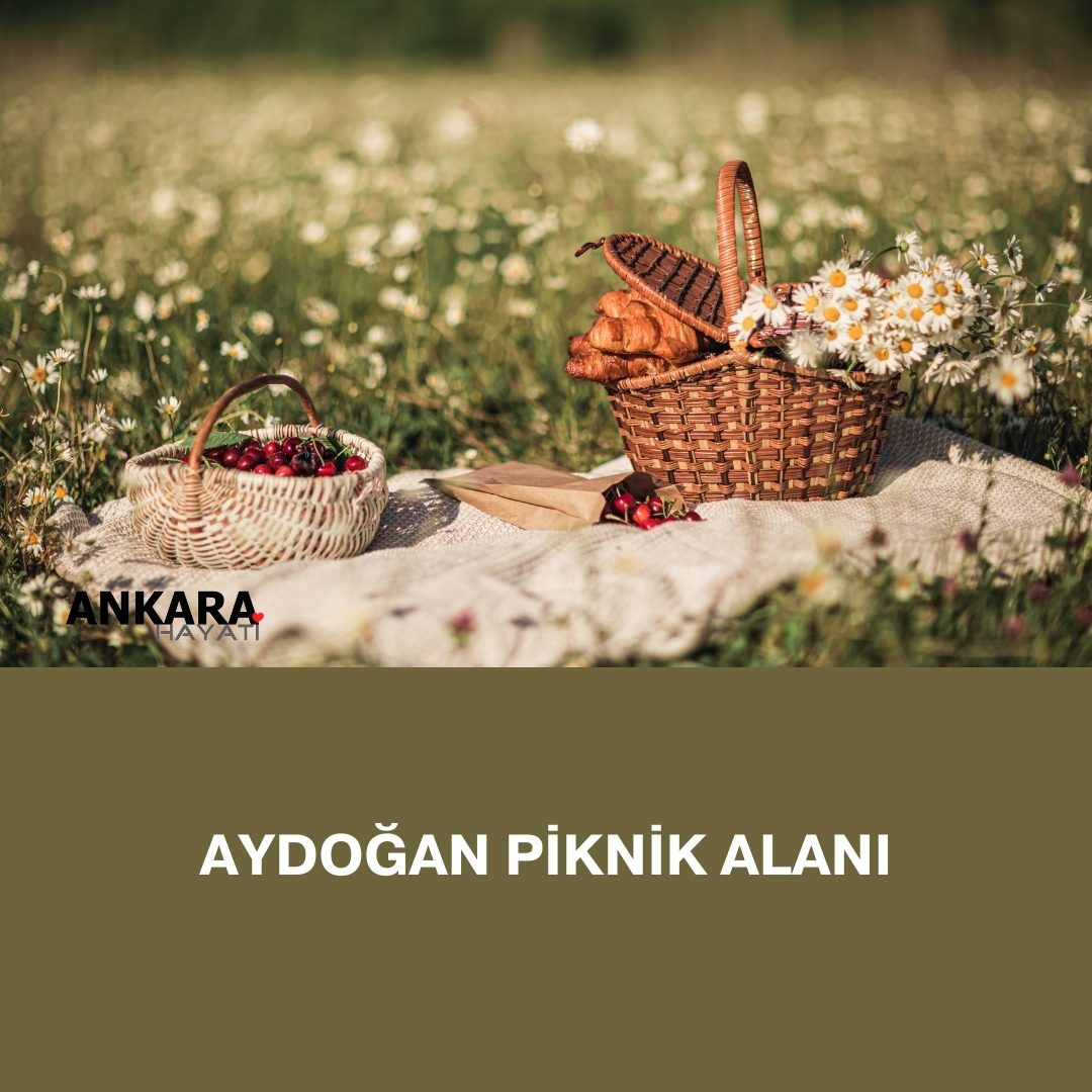Aydoğan Piknik Alanı Aydoğan Piknik Alanı