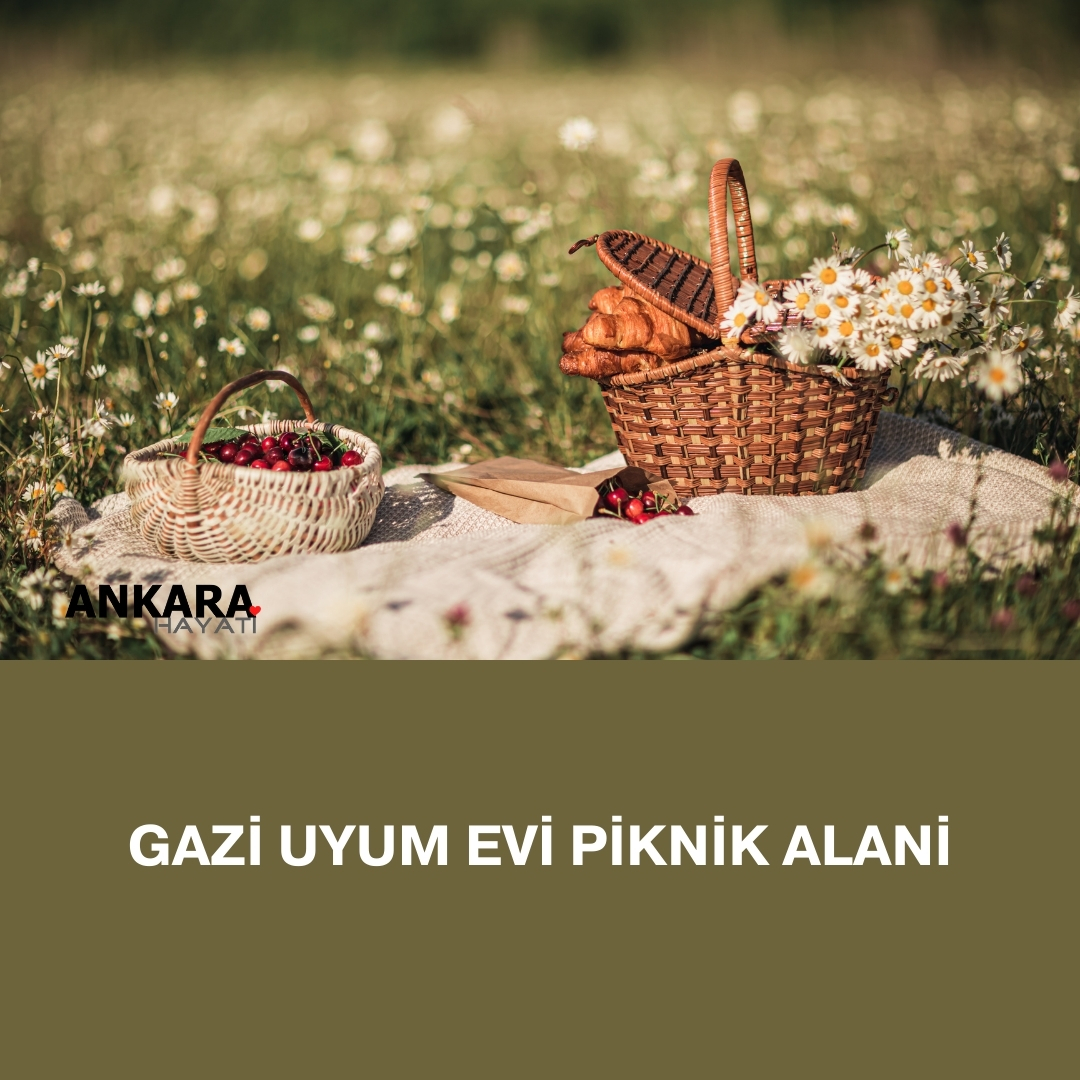 Gazi Uyum Evi Piknik Alani