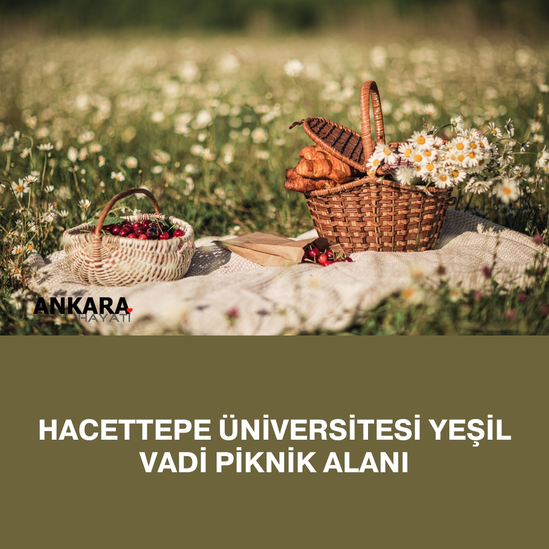 Hacettepe Üniversitesi Yeşil Vadi Piknik Alanı