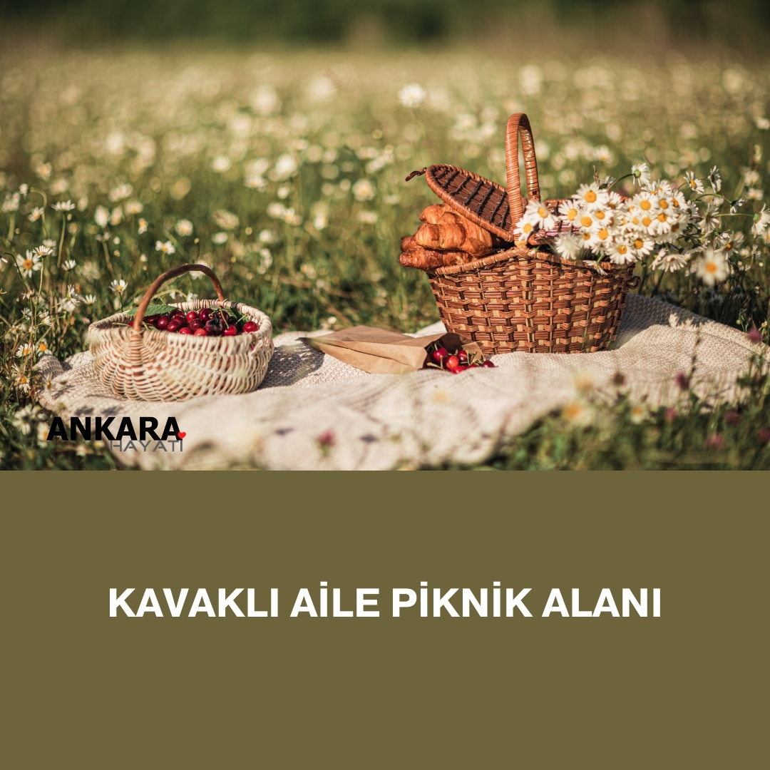 Kavaklı Aile Piknik Alanı