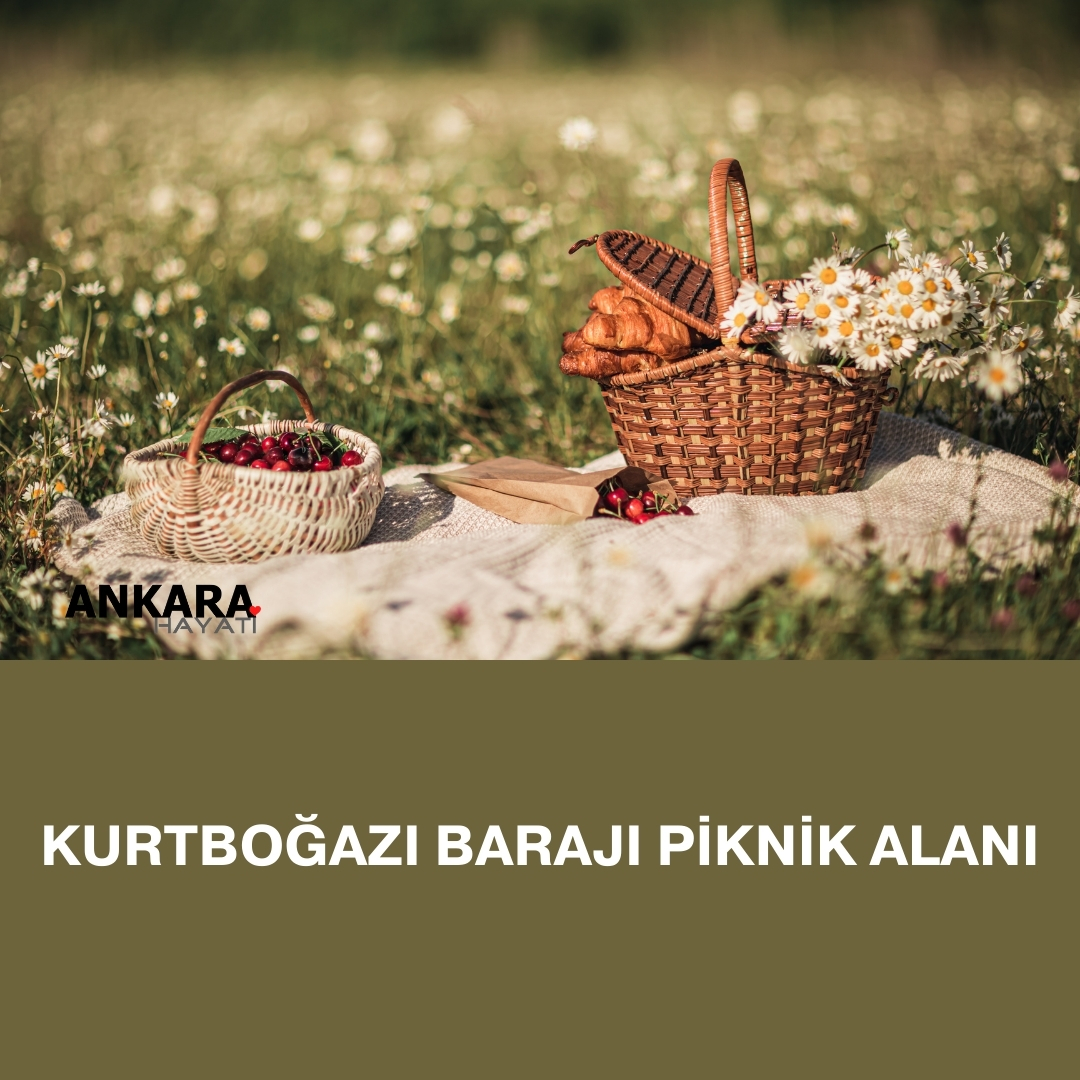 Kurtboğazı Barajı Piknik Alanı