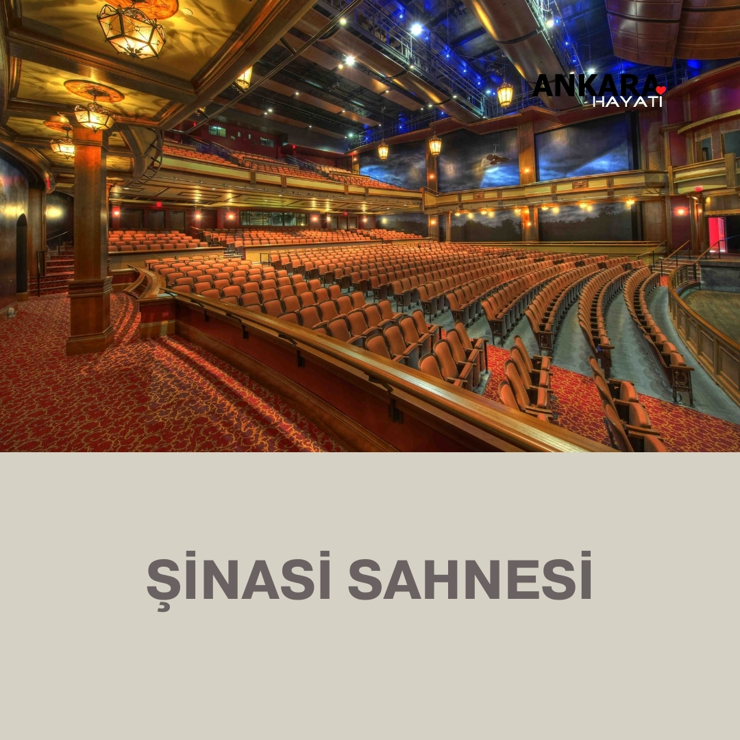 Şinasi Sahnesi