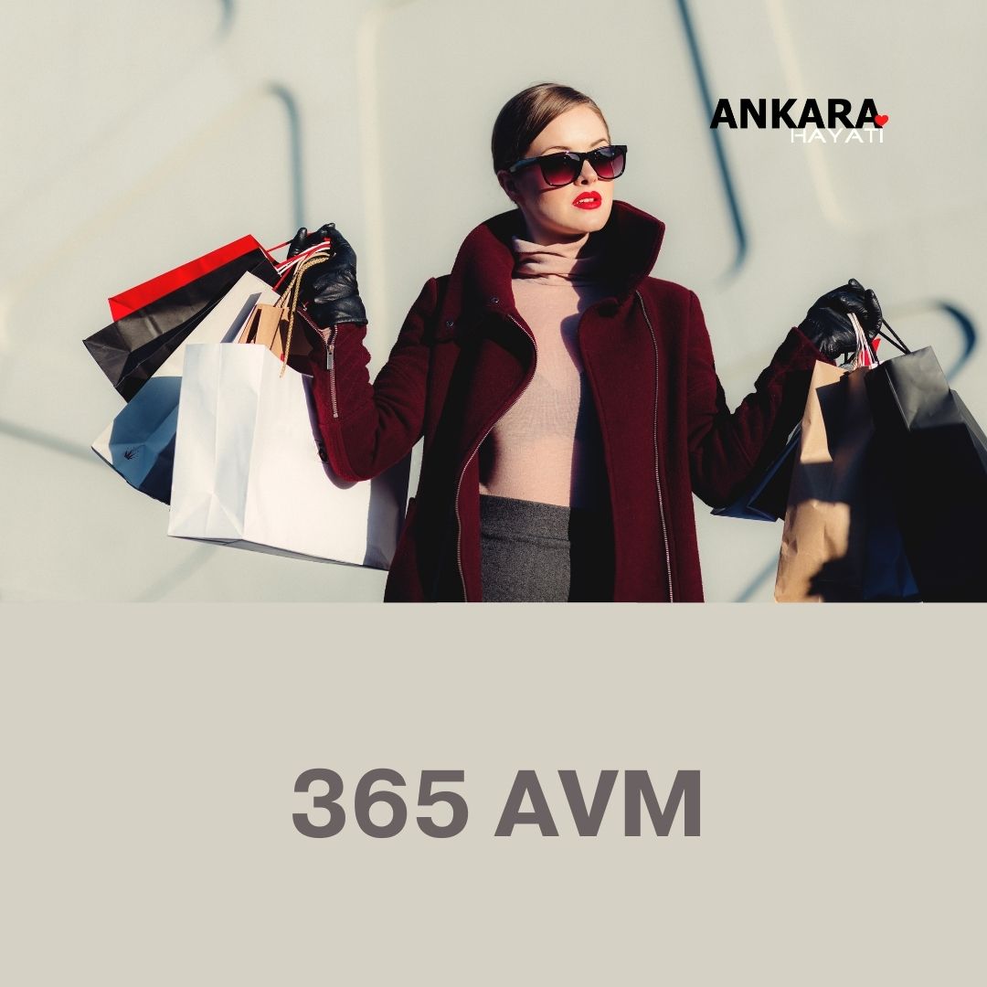 365 Avm